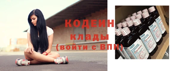 прущие грибы Осташков