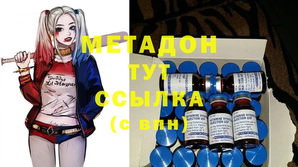 прущие грибы Осташков