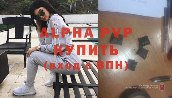 прущие грибы Осташков