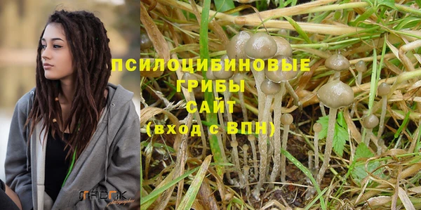 прущие грибы Осташков