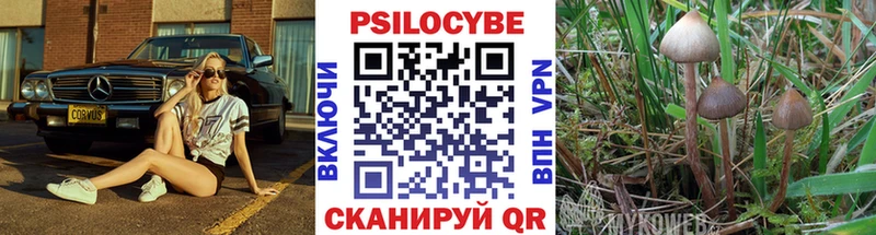 Галлюциногенные грибы прущие грибы Сельцо